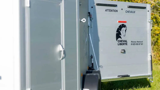 Remolque para caballos y ganado Böckmann Master Edition 60